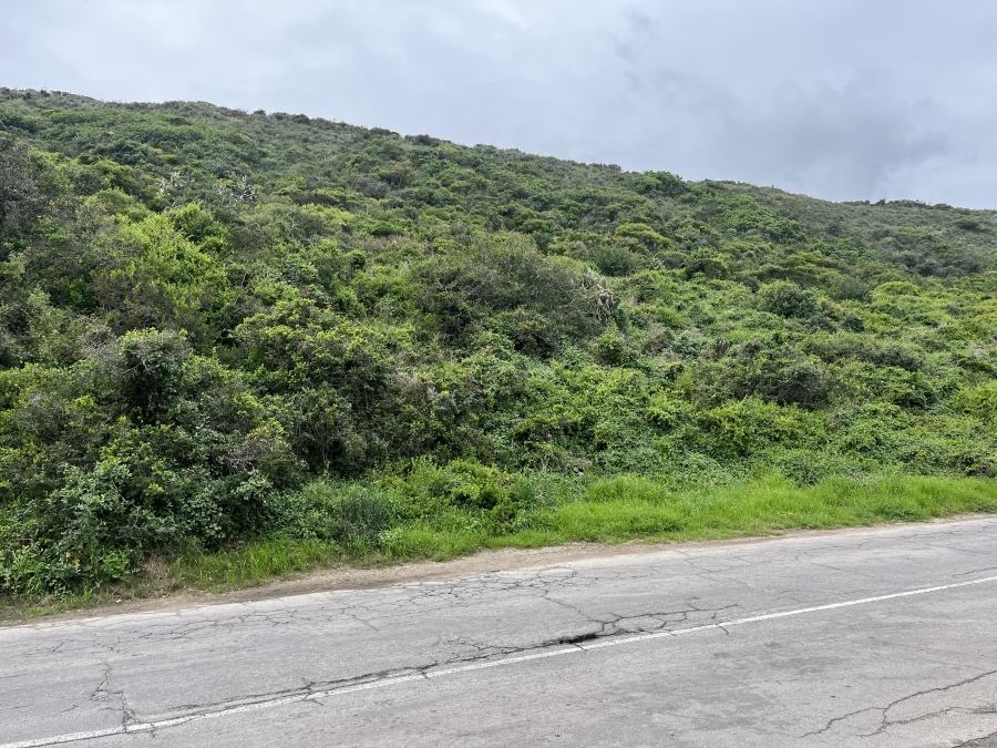 0 Bedroom Property for Sale in Amsterdamhoek Eastern Cape